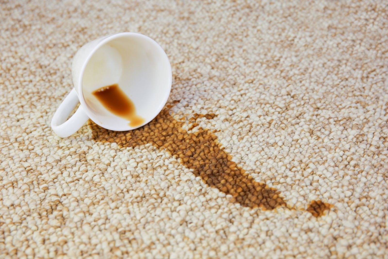 Why Regular Carpet Cleaning is Key for a Healthier Home (And Why DIY Just Won’t Cut It)