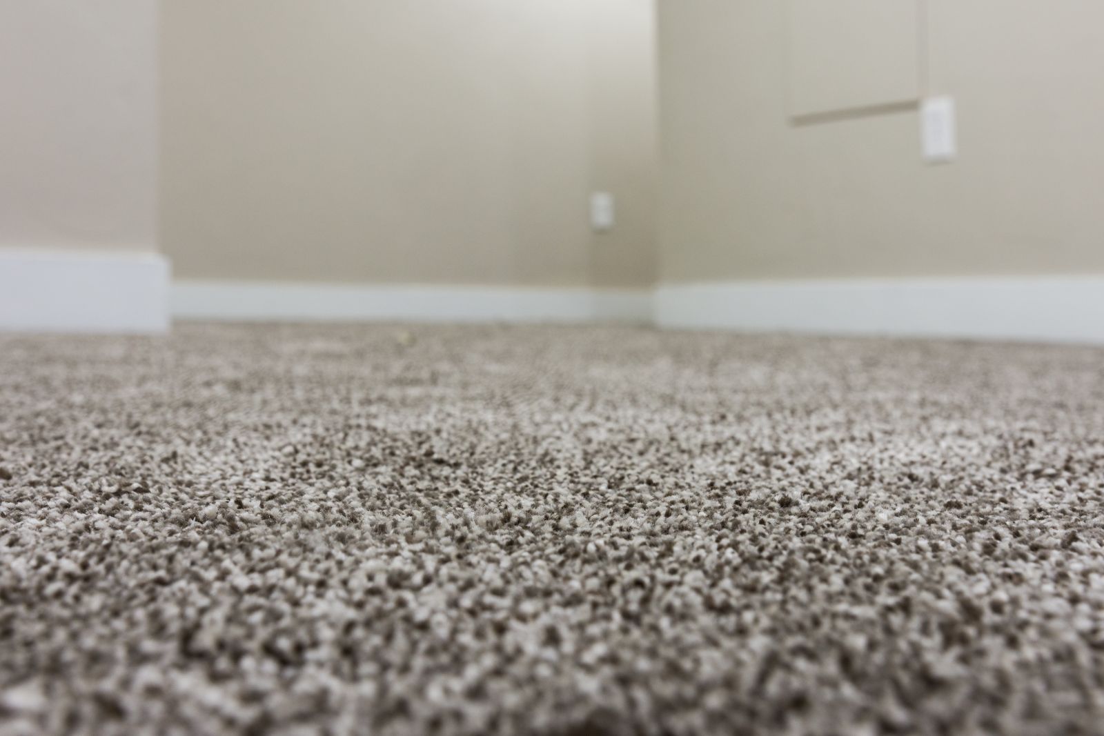 Why Your Carpets Smell Funky (and How to Fix It Fast!)