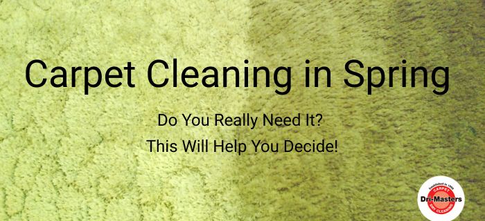 Carpet Cleaning in Spring: Do You Really Need It? This Will Help You Decide!