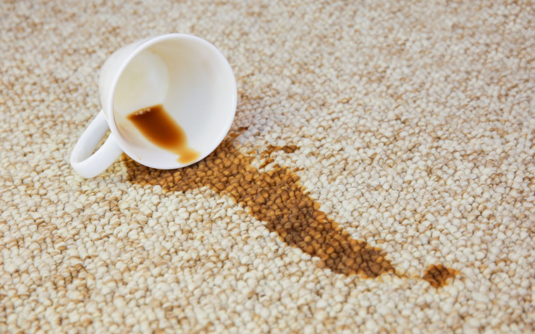 Why Regular Carpet Cleaning is Key for a Healthier Home (And Why DIY Just Won’t Cut It)