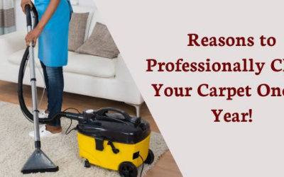 Reasons to Professionally Clean Your Carpet Once a Year!
