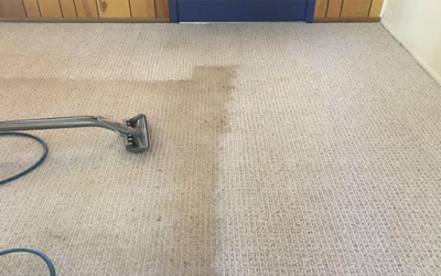 Top Tips for Maintaining Clean Carpets in Your Harrisburg Home