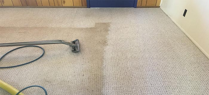 Top Tips for Maintaining Clean Carpets in Your Harrisburg Home