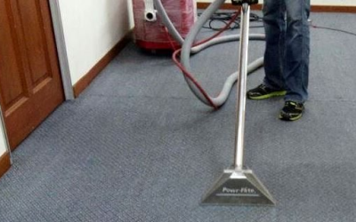 Is Your Carpet Hiding More Than Dirt? Here’s Why a Deep Clean Matters More Than You Think
