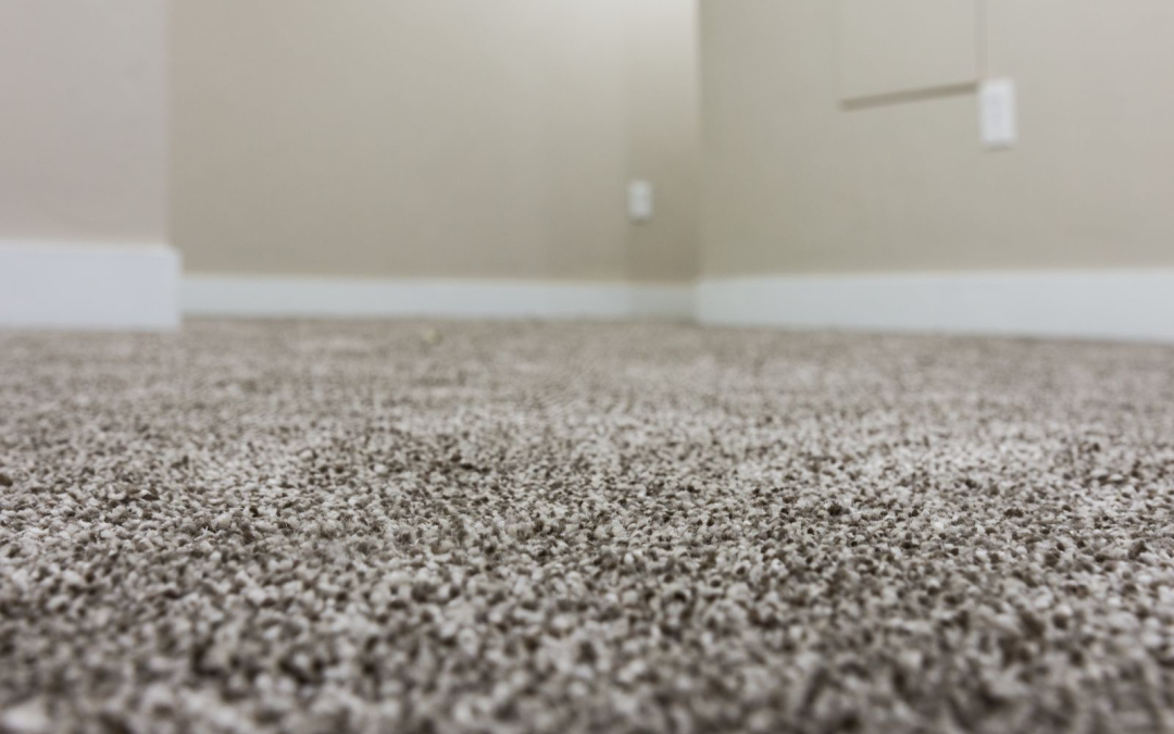 Why Your Carpets Smell Funky (and How to Fix It Fast!)