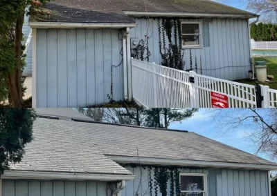 Two images show a house side with vines climbing up the wall near a window and a white fence.