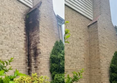 Side-by-side of a chimney: left with a dark stain, right cleaned with no stain; shrubs in front.