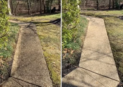 Side-by-side view of a mossy sidewalk before and after being cleaned, surrounded by grass and trees.