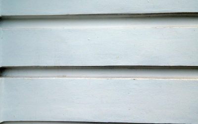 That Green Stuff on Your Siding? It’s Not Just Ugly—It’s Eating Away at Your Home