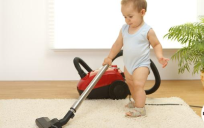 Here’s What You Need to Know if You are New to Carpet Cleaning