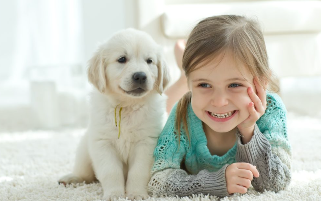 Are You Making These Carpet Cleaning Mistakes?