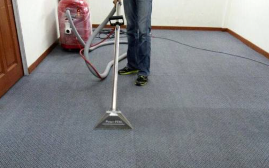 How to Dry Wet Carpets Quickly?