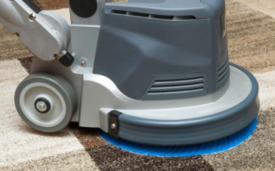 Tried & Tested DIY Carpet Cleaning Shampoo Recipes!