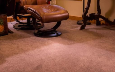 How to Spot & Terminate Mold from Your Carpet!