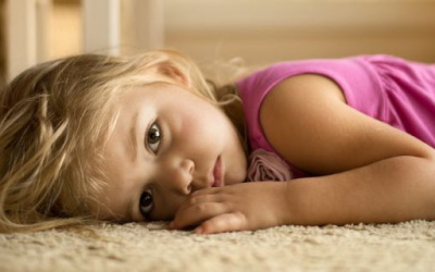 Is Excessive Humidity Ruining Your Carpets? Find Out How Can You Save Them!