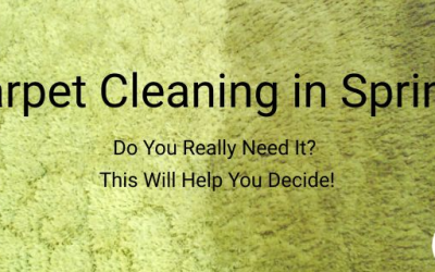 Carpet Cleaning in Spring: Do You Really Need It? This Will Help You Decide!