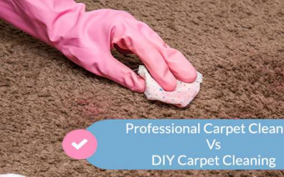 How is Professional Carpet Cleaning Different From DIY?