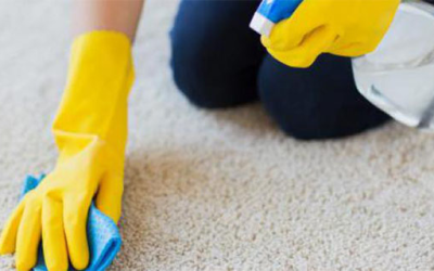 Tricks about Carpet Cleaning you Wish You Knew Before