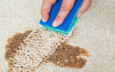 The Ultimate Guide of Carpet Cleaning Myths and Truths