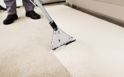 Here Are 2 Myths About Carpet Cleaning Completely Debunked