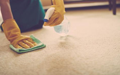 Methods to Clean Carpets in an Eco-Friendly Way
