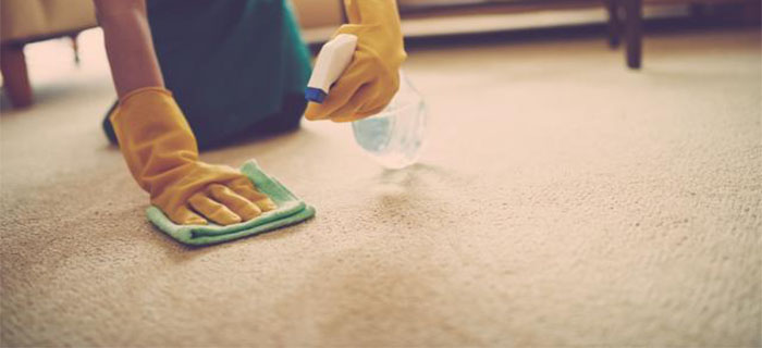 Methods to Clean Carpets in an Eco-Friendly Way