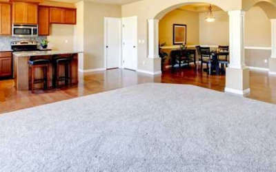 Understanding Carpet Cleaning for Better Cleaning!