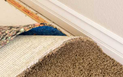 Identifying and Preventing Mold Growth in Your Carpet