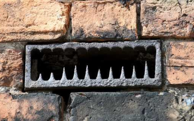 Dryer Vent Cleaning: Check for these Warning Signs