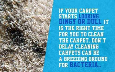 DIY Carpet Cleaning Tips to Get Rid of Stains and Odors