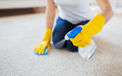 Is it worth getting my carpets cleaned by a professional?