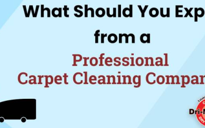What Should You Expect from a Professional Carpet Cleaning Company?
