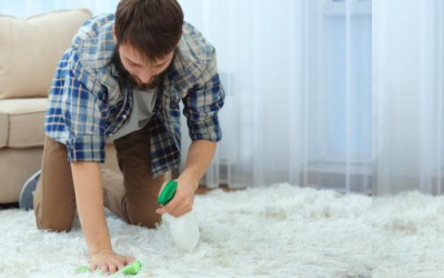 4 Expert Home Carpet Cleaning Tips You May Need This Summer