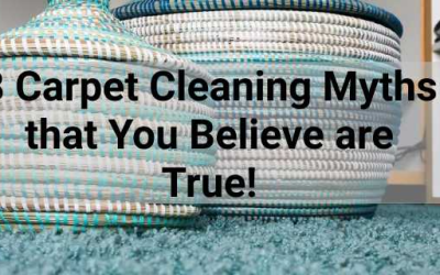8 Carpet Cleaning Myths that You Believe are True!