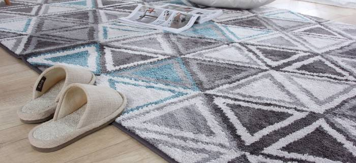 Carpet Cleaning Leesburg, VA – Simple Ways to Master