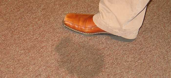 Did You Know that These 5 Items Contribute to Clean Carpets?