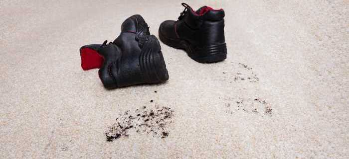 9 Brilliant Approaches to Keep Your Carpets Clean