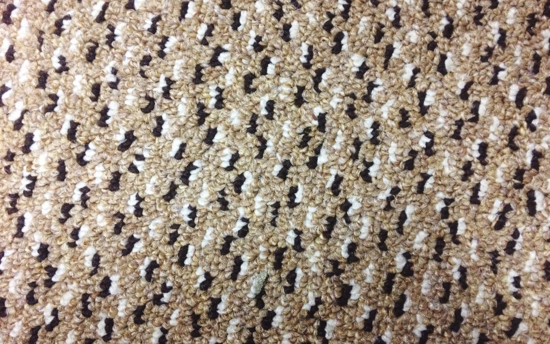 Your Carpets Look Clean—But Here’s What’s Hiding in the Fibers