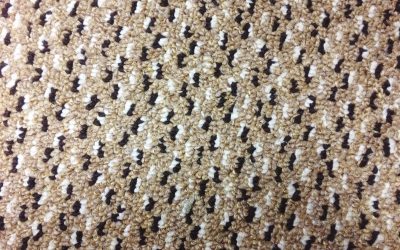 Your Carpets Look Clean—But Here’s What’s Hiding in the Fibers