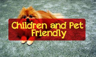  Exterior Home cleaning including, roof cleaning, vinyl siding cleaning, driveway & sidewalk cleaning and deck and fence cleaning