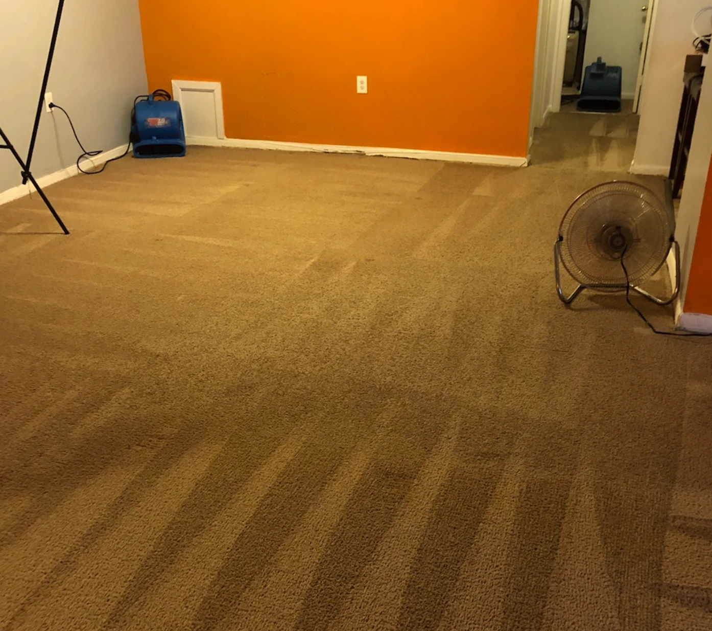 A freshly cleaned carpeted room with a fan and cleaning equipment near orange and white walls.