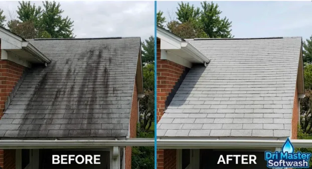 Split image of a roof: left side dirty with dark streaks, right side clean after washing, labeled "Before" and "After".