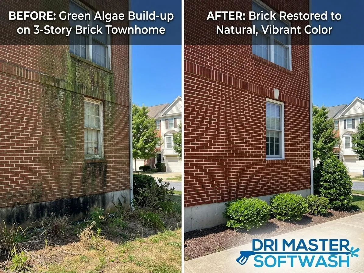 Side-by-side of brick townhome: left with algae buildup, right cleaned, bricks vibrant. Dri Master Softwash logo.