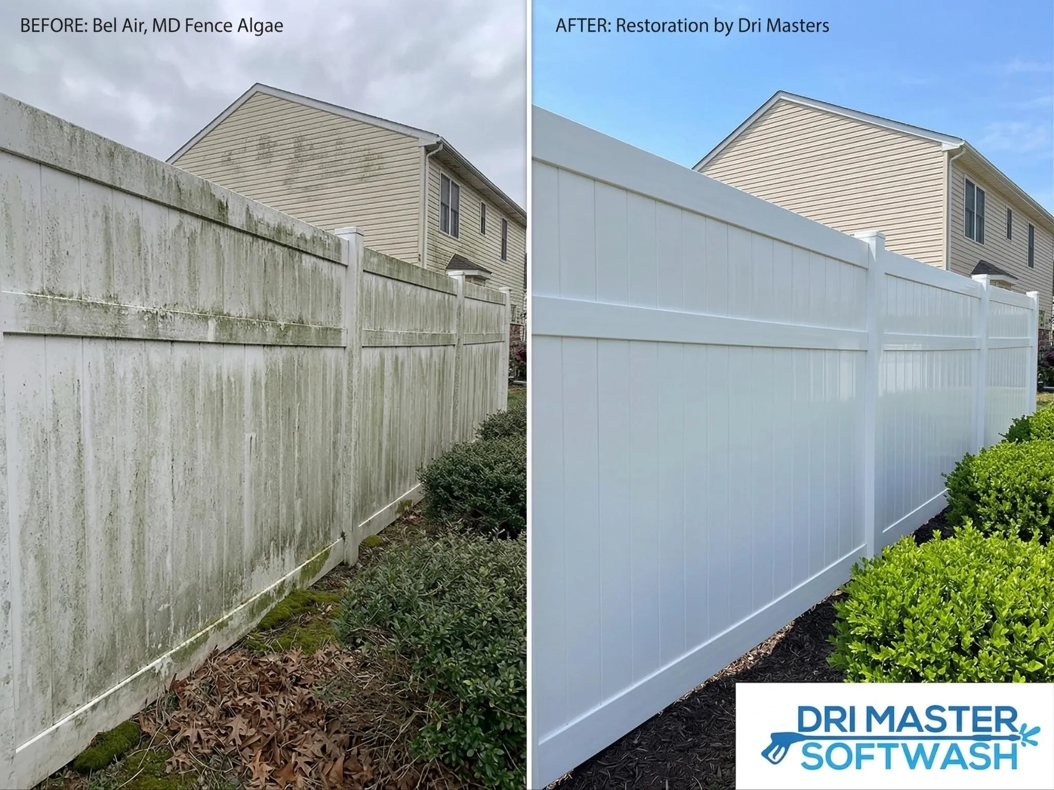 Split image: left shows an algae-covered fence, right shows the same fence clean and white after washing.